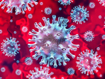 Permalink to: Coronavirus e sistema immunitario efficiente